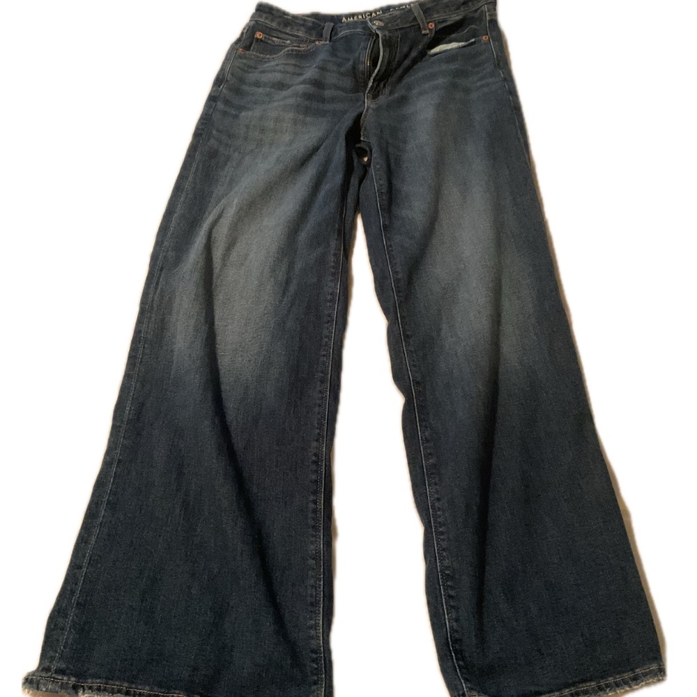 American Eagle Low Rise Wide Leg Pants Size 6